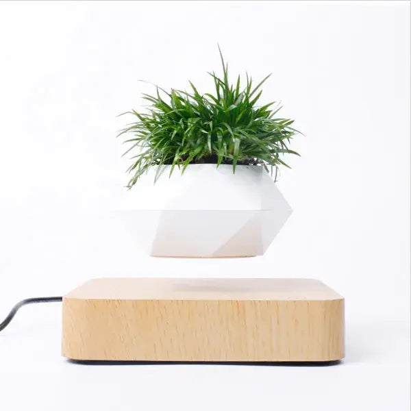 ZenFloat