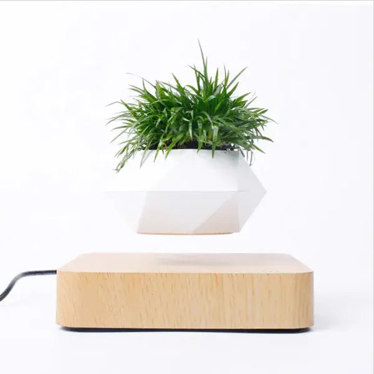 ZenFloat
