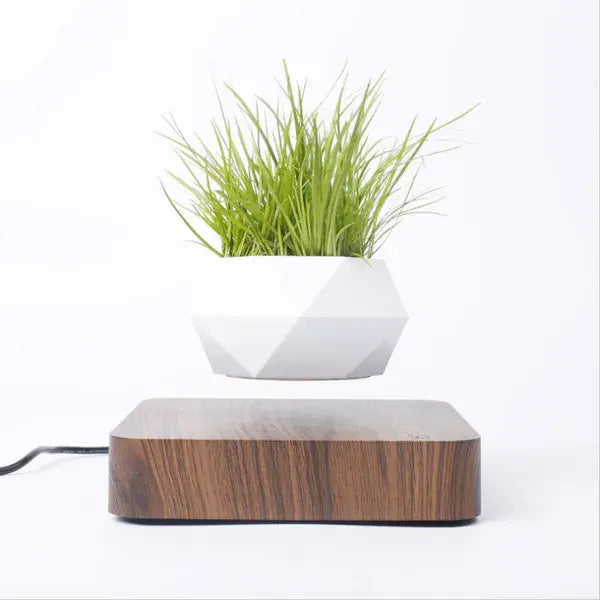 ZenFloat